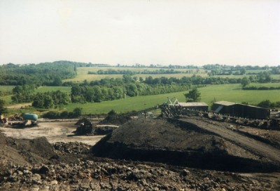 Photographs Of Birch Coppice