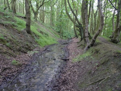 Photographs Of Birkby Brow
