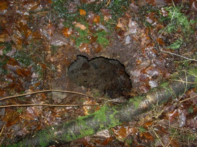 East Blackcraig