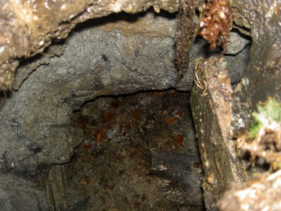 East Blackcraig