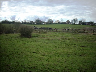 Hillcocks