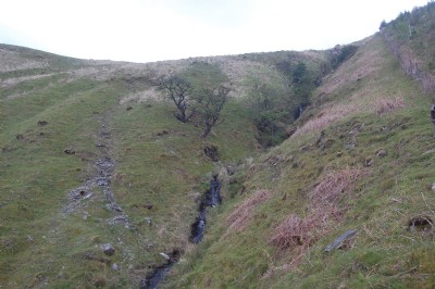 The valley