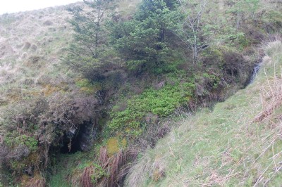 The portal