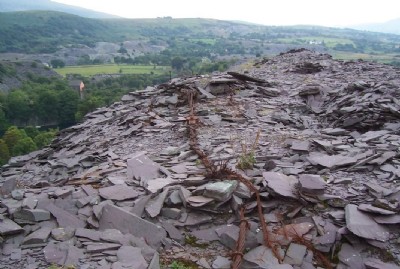Photographs Of Blaen-Y-Cae