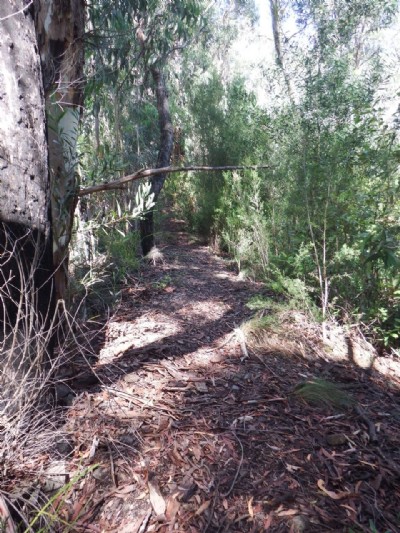 Incline down to the mine entrance
