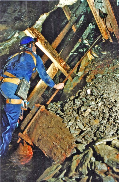 Historic Photographs Of Bog