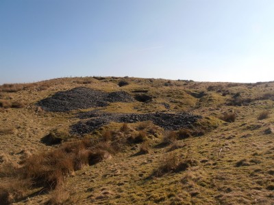 Photographs Of Bog