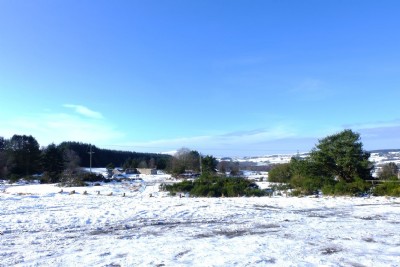 Photographs Of Bog (Photo ref 99323)