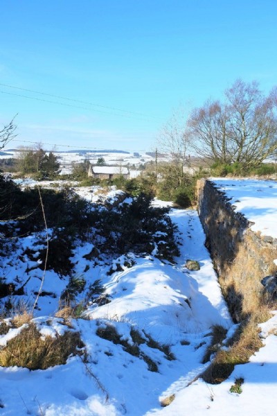 Photographs Of Bog (Photo ref 99324)