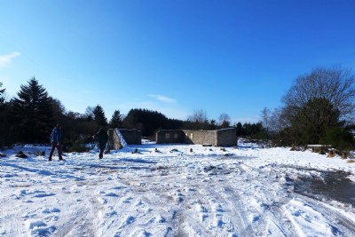 Photographs Of Bog (Photo ref 99326)
