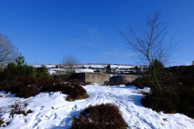Photographs Of Bog (Photo ref 99327)