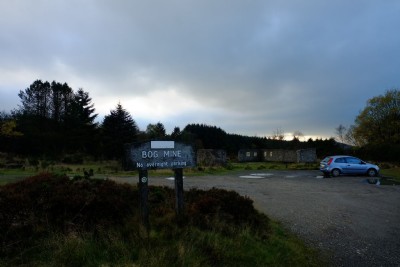 Photographs Of Bog (Photo ref 99350)