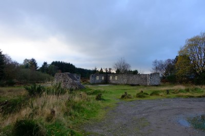 Photographs Of Bog (Photo ref 99351)