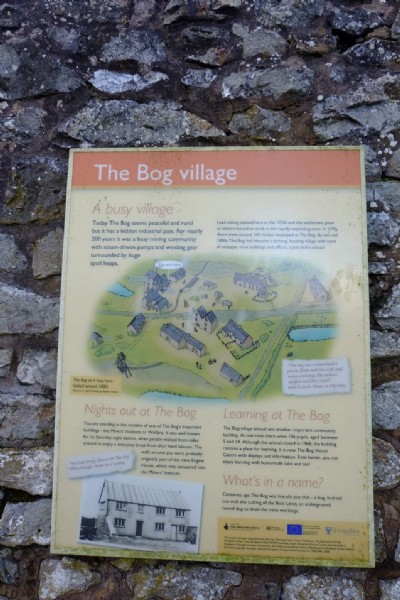Photographs Of Bog (Photo ref 99352)