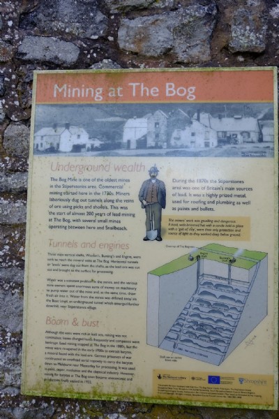 Photographs Of Bog (Photo ref 99353)