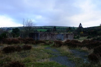 Photographs Of Bog (Photo ref 99355)