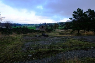 Photographs Of Bog (Photo ref 99356)