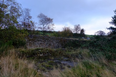 Photographs Of Bog (Photo ref 99357)