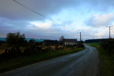 Photographs Of Bog (Photo ref 99359)