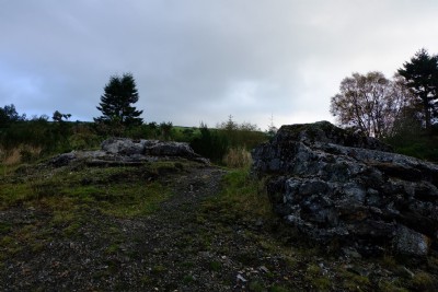 Photographs Of Bog (Photo ref 99361)