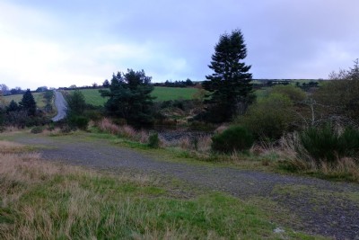 Photographs Of Bog (Photo ref 99362)