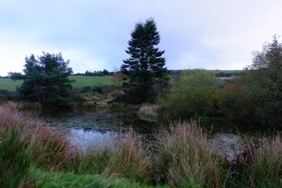 Photographs Of Bog (Photo ref 99363)
