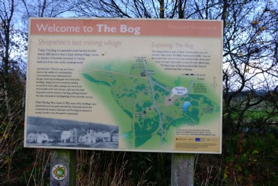 Photographs Of Bog (Photo ref 99365)