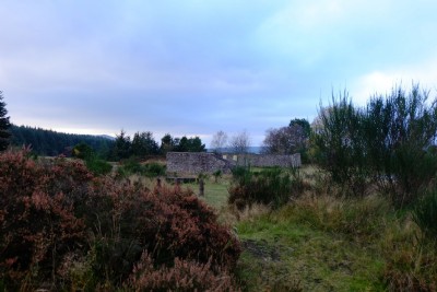 Photographs Of Bog (Photo ref 99366)