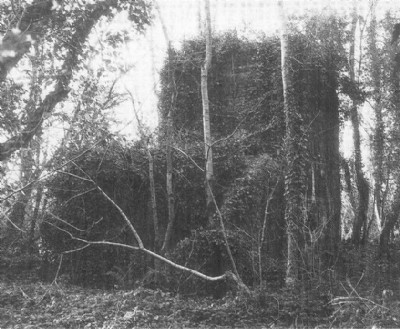 Bonvilles Court Colliery, Fan Pit 1988