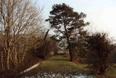 Bonvilles Court Colliery Main Line Siding 1991