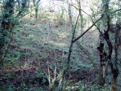 Bonvilles Court Colliery spoil heap 2009
