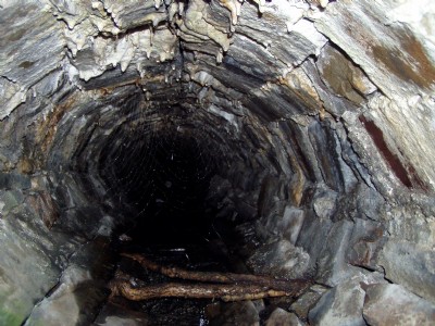 Bonvilles Court Colliery drainage adit 2009