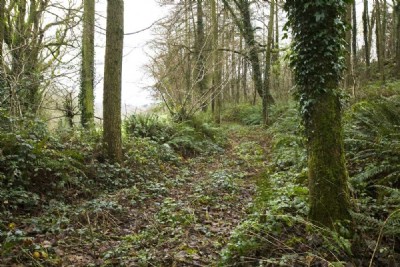 Photographs Of Bonville's Court Colliery