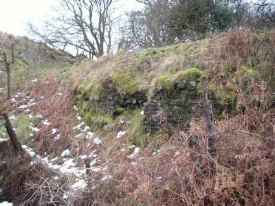 Stone embankment south of Penwyllt