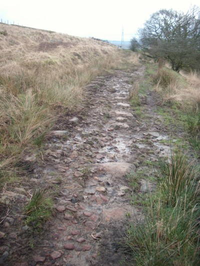 Line of stone blocks, south of Penwyllt
