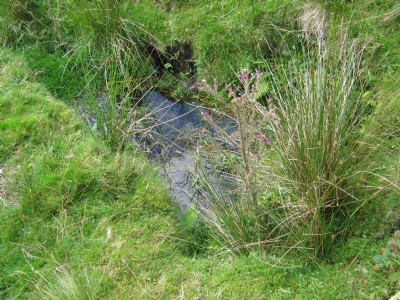 Flooded shaft