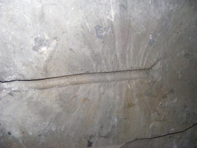 Photographs Of Bryneglwys