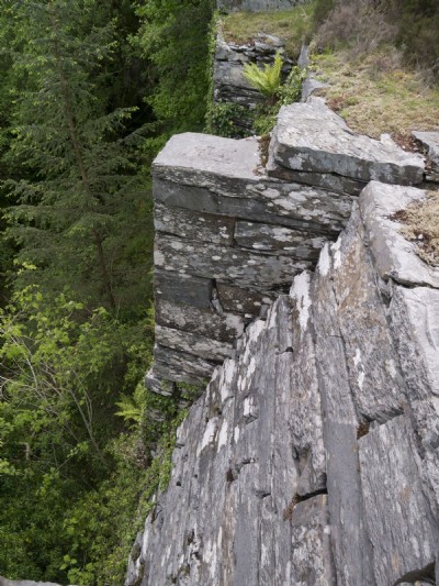 Buttress