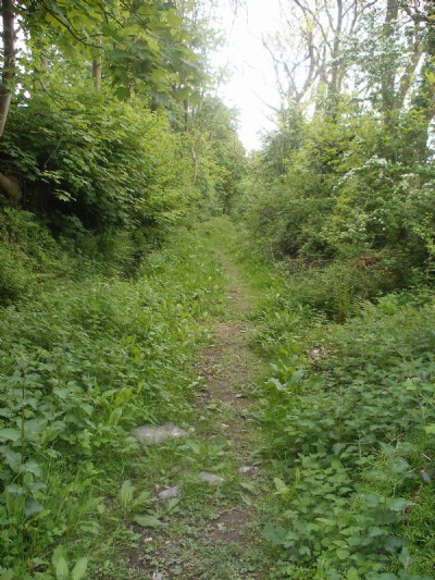 Photographs Of Burlington