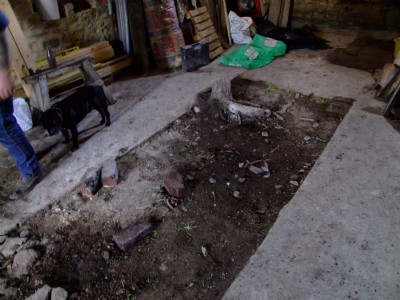 Ash Pit in Shed- Spring 2008