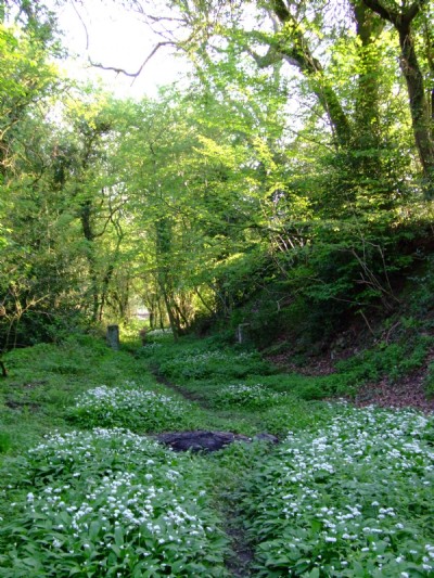 Photographs Of Butterley Co Mineral Railway