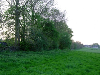 Cross country - View Nth to Fritchley 07.05.08