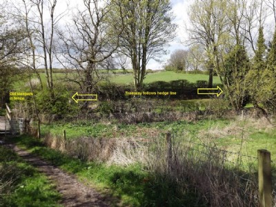 Route through garden