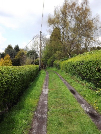 Portland Tramway route behind school