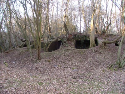 04.03.06 Butterley co Rly- Disused Brick kilns at Buckland hollow nr line