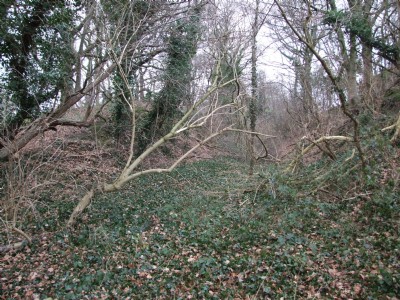 29.12.08 Butterley Co Rly, Cutting in Golden Valley