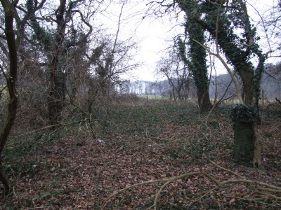 29.12.08 Butterley Co Rly trakbed with lvl crossing post Golden Valley