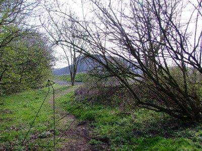 03.04.09 Butterley Co Rly, Junction, Steamill lane LH and Forty Horse Pit RH