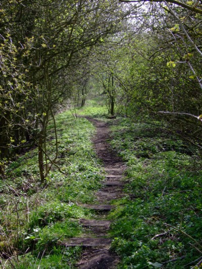 Photographs Of Butterley Company West