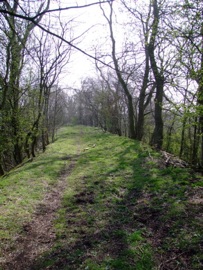 03.04.09 Butterley Co Rly, Trackbed to Steamill lane and Forty Horse Pit Sth of Coach Road
